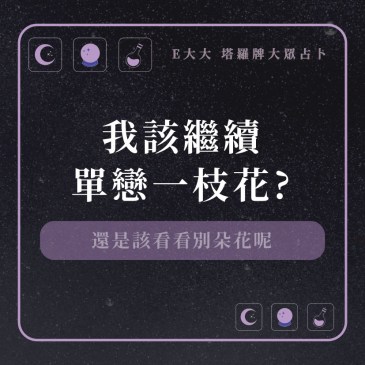 我該繼續單戀一枝花?