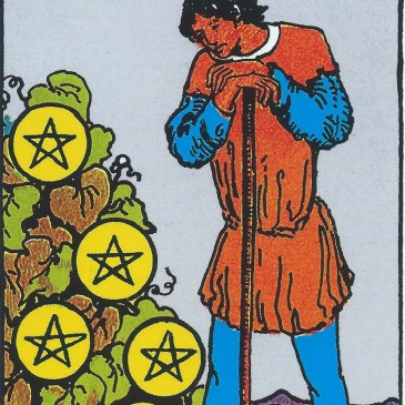 Seven of Pentacles 錢幣七